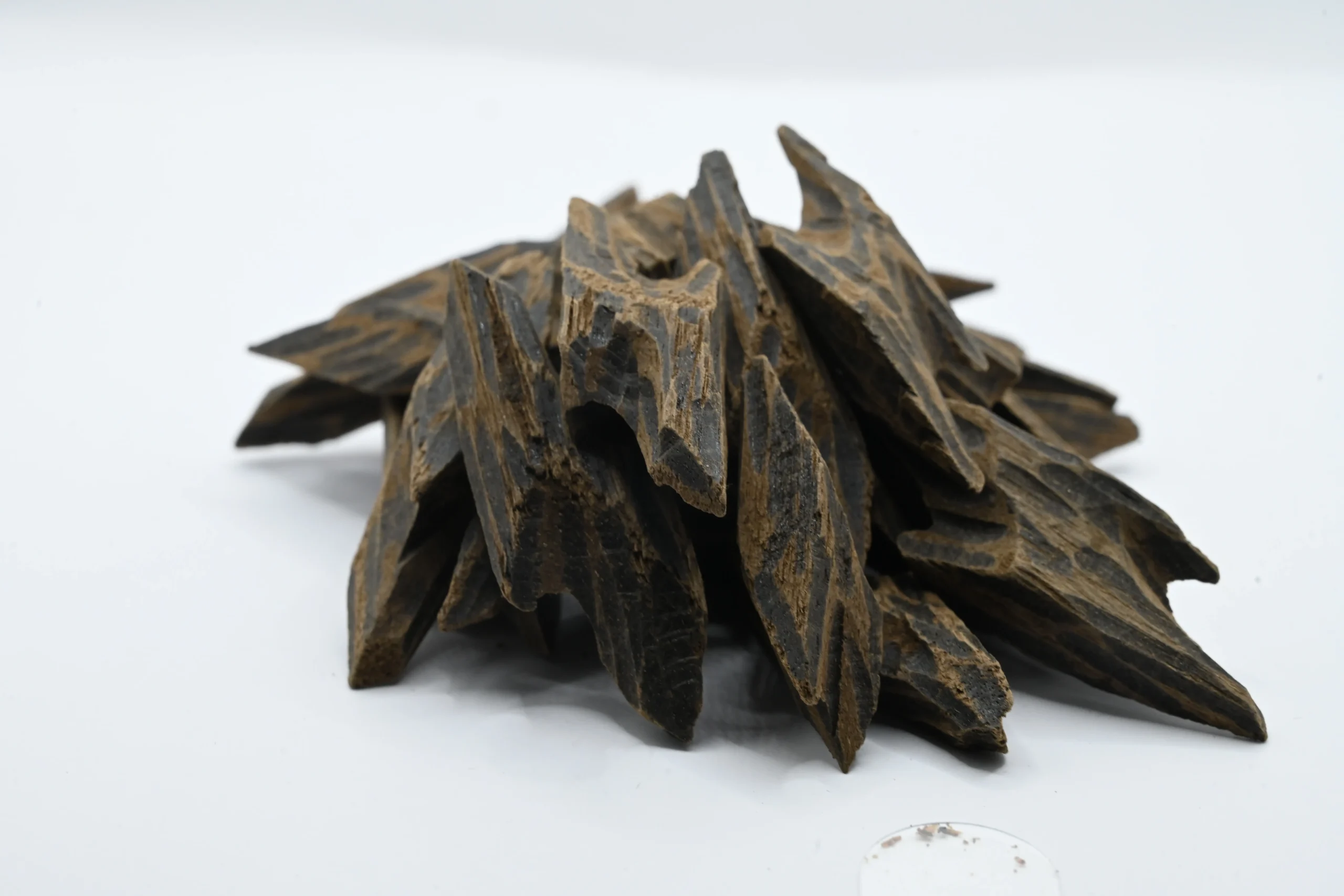 عود تايقر الفيتنامي المحسن: فخامة العود الأصيل بلمسة عصرية